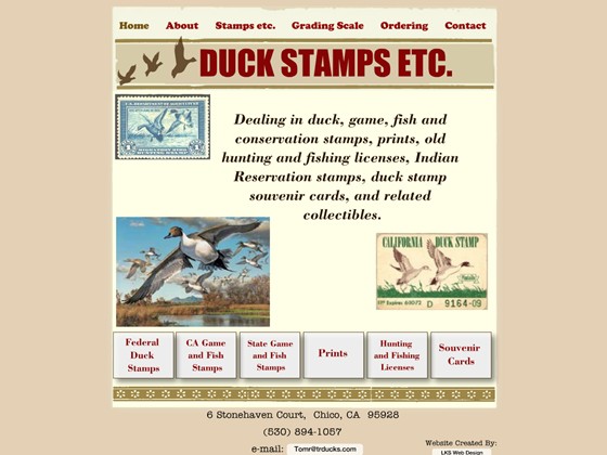 Websites: Website Portfolio